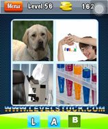 photo-puzzle-4-pic-1-word-level-56-7383645