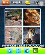 photo-puzzle-4-pic-1-word-level-71-4943905